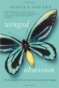 winged obsession cover