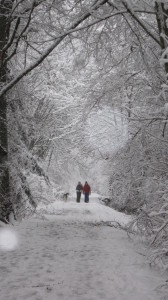 BellinghamSnow2014 022