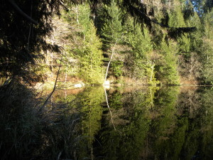 Trees reflected in Fragrance Lake